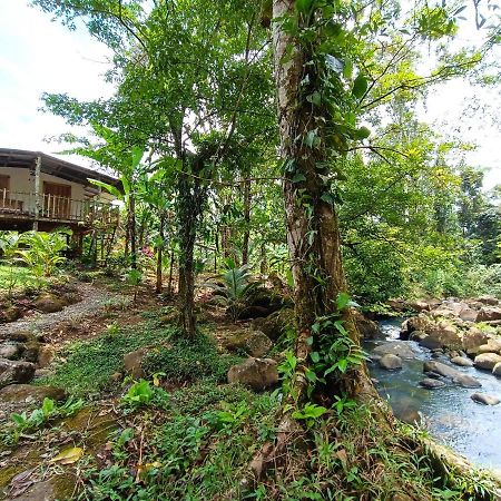 Cabana Vista Rio Celeste Kültér fotó