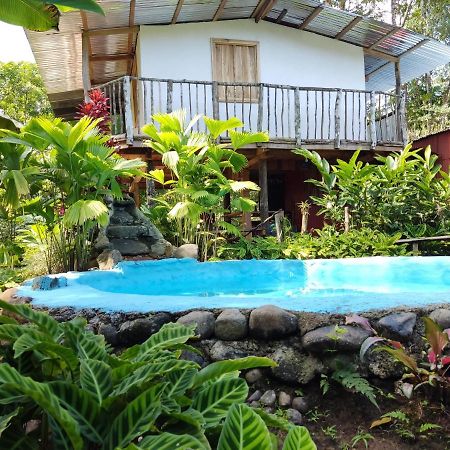 Cabana Vista Rio Celeste Kültér fotó