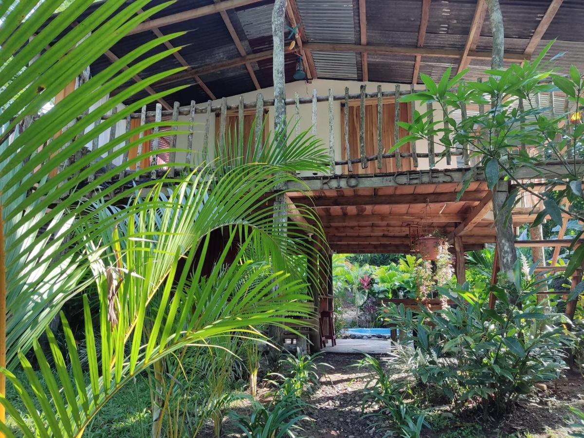 Cabana Vista Rio Celeste Kültér fotó