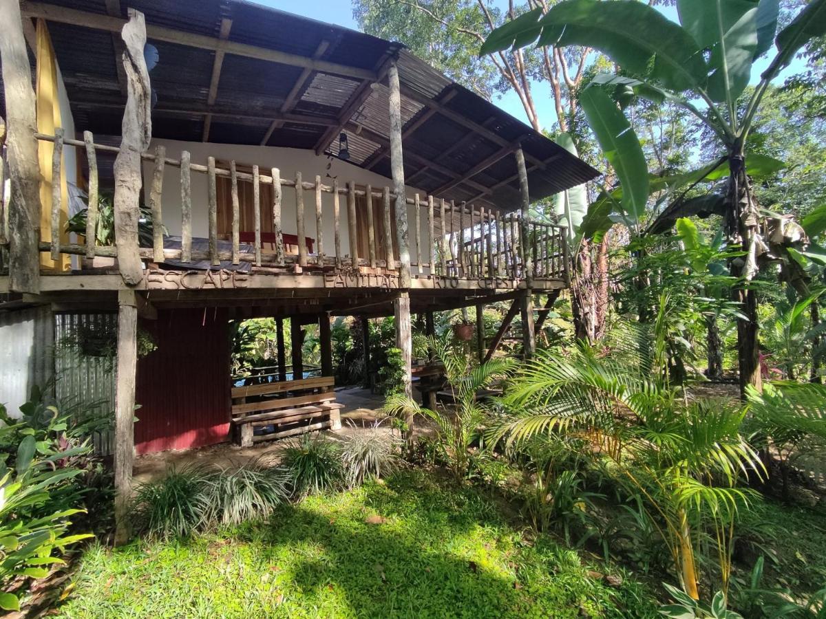 Cabana Vista Rio Celeste Kültér fotó