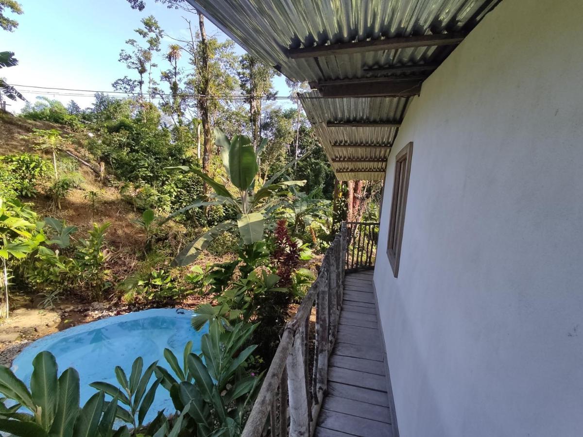 Cabana Vista Rio Celeste Kültér fotó