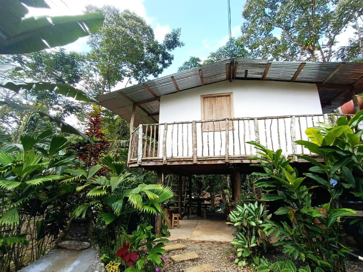 Cabana Vista Rio Celeste Kültér fotó