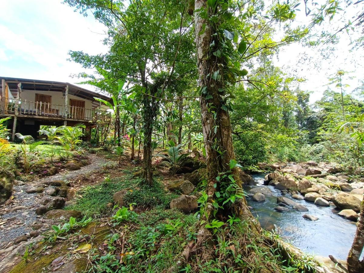 Cabana Vista Rio Celeste Kültér fotó