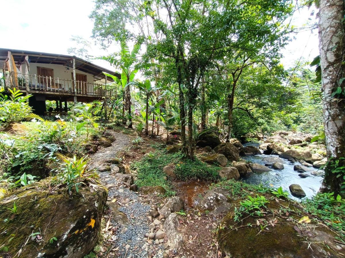 Cabana Vista Rio Celeste Kültér fotó