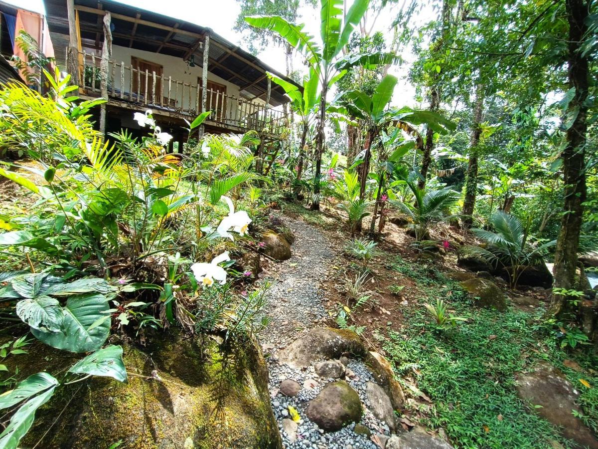 Cabana Vista Rio Celeste Kültér fotó