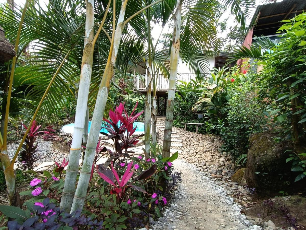 Cabana Vista Rio Celeste Kültér fotó