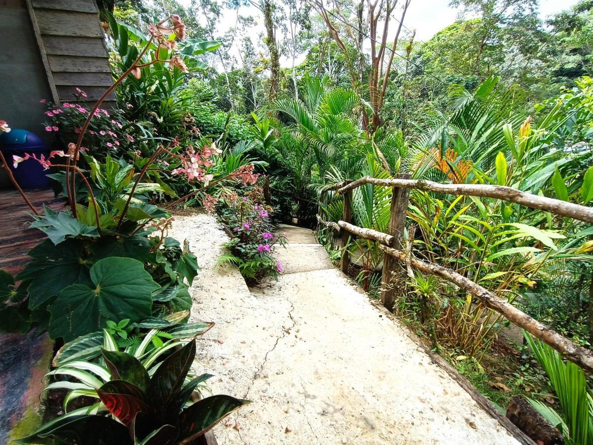 Cabana Vista Rio Celeste Kültér fotó