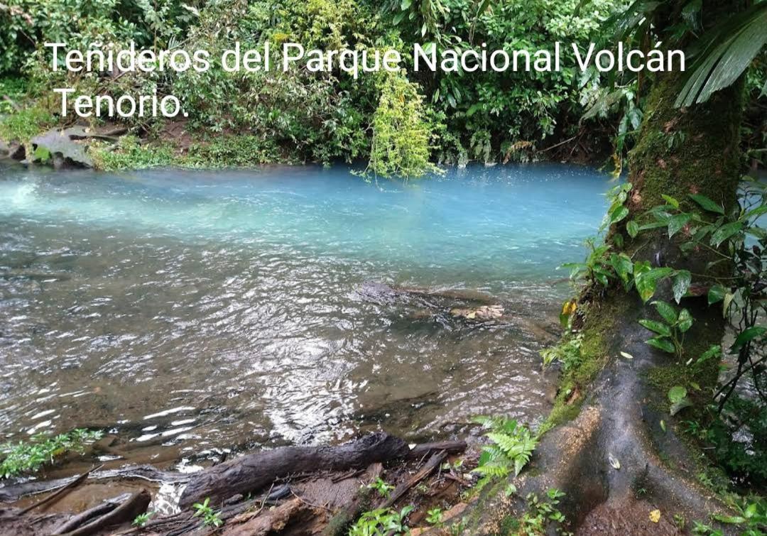 Cabana Vista Rio Celeste Kültér fotó
